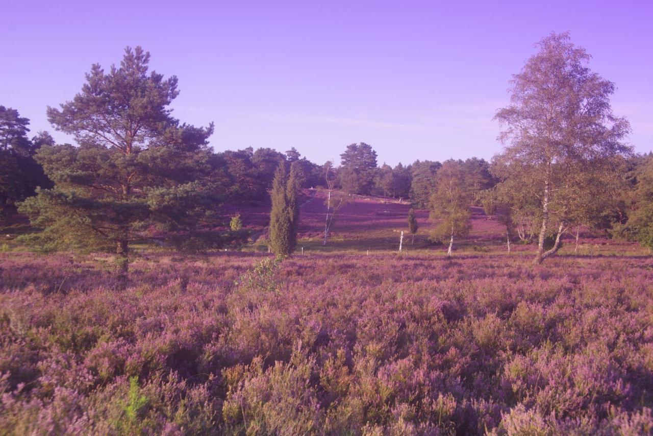Ferienwohnung Schuur - Buchholz In Der Nordheide Buchholz in der Nordheide Exterior foto